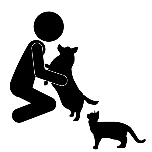 土日祝対応の動物病院